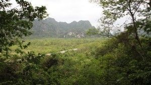 Cat Ba Nationalpark