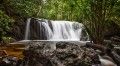 Nationalpark in Südvietnam
