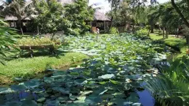 Flora Vietnams