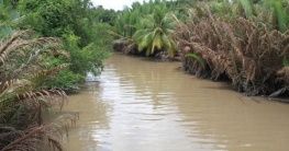 Mekong Delta