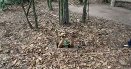 Cu Chi Tunnel