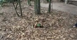 Cu Chi Tunnel