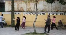 Thai Cuc Quyen (Tai-Chi)