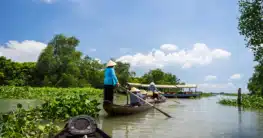 Mekong Delta